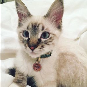 Meet your Posher, Grace